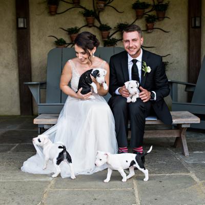 Mới lạ với "bó hoa cưới" cún cưng tươi rói